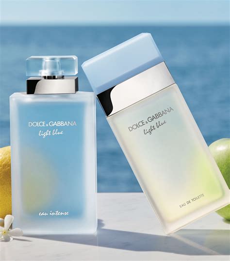 dolce gabbana light blue price.